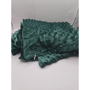 PHF Minky Dot Throw Pillow Cover , 2 Pack Soft 22 x 22-Inch, Emerald